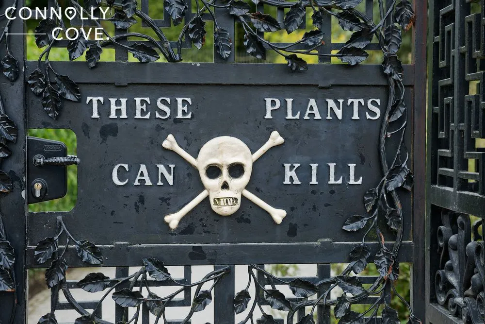 the Poison Garden, England