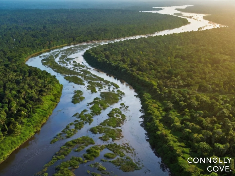 Aerial view of the Amazon River winding through dense green forest under a clear sky, with lush vegetation along the riverbanks. The image is branded with the Connolly Cove logo in the bottom right corner.