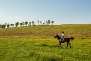 Experience the Ultimate Horseback Riding in Ireland: Explore the Stunning Landscapes on Horseback!