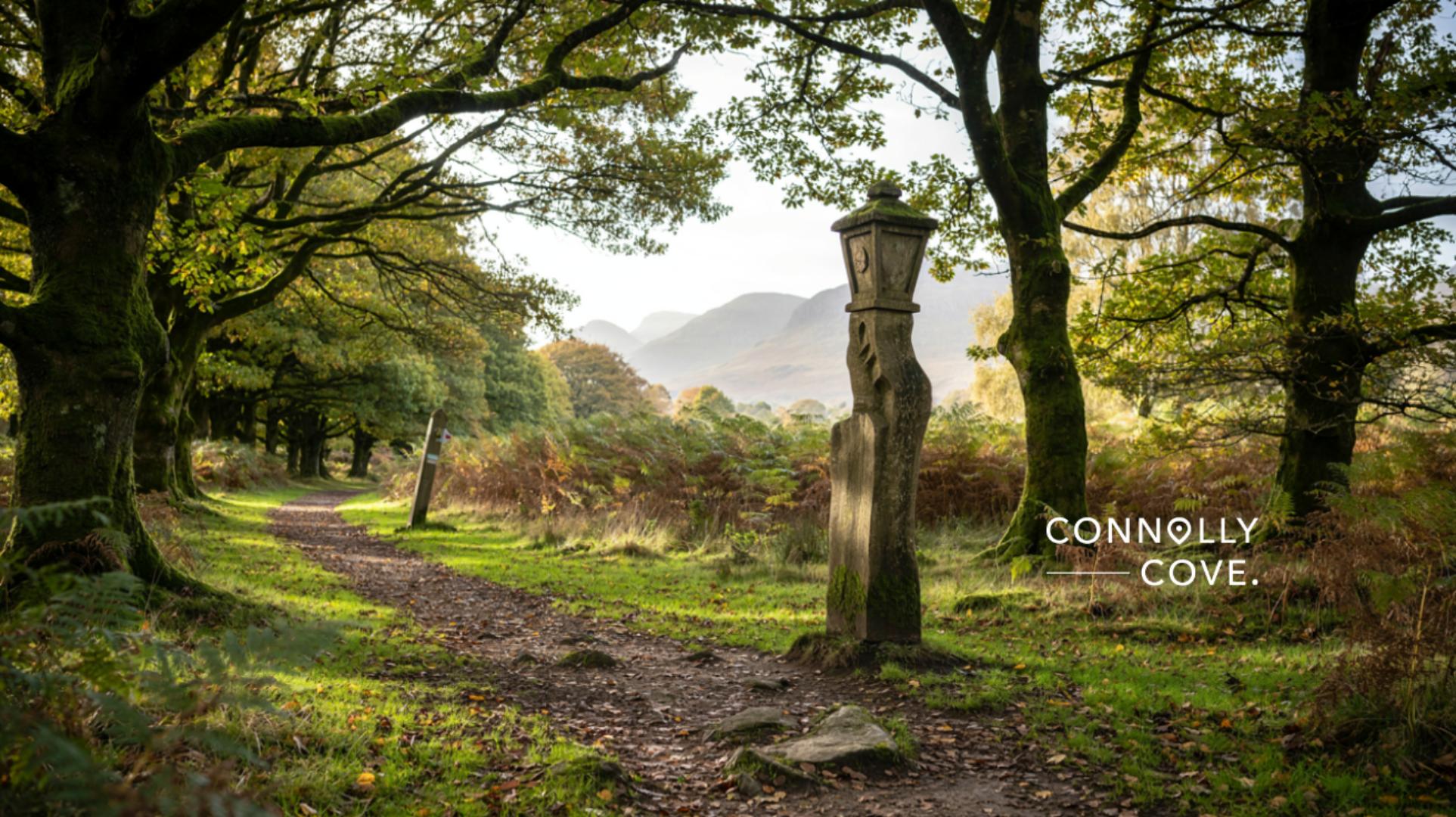 A dirt path winds through a sunlit, wooded area with tall trees and mossy stone markers along the enchanting Narnia Trail. Mountains are visible in the distance. Text reads Connolly Cove.