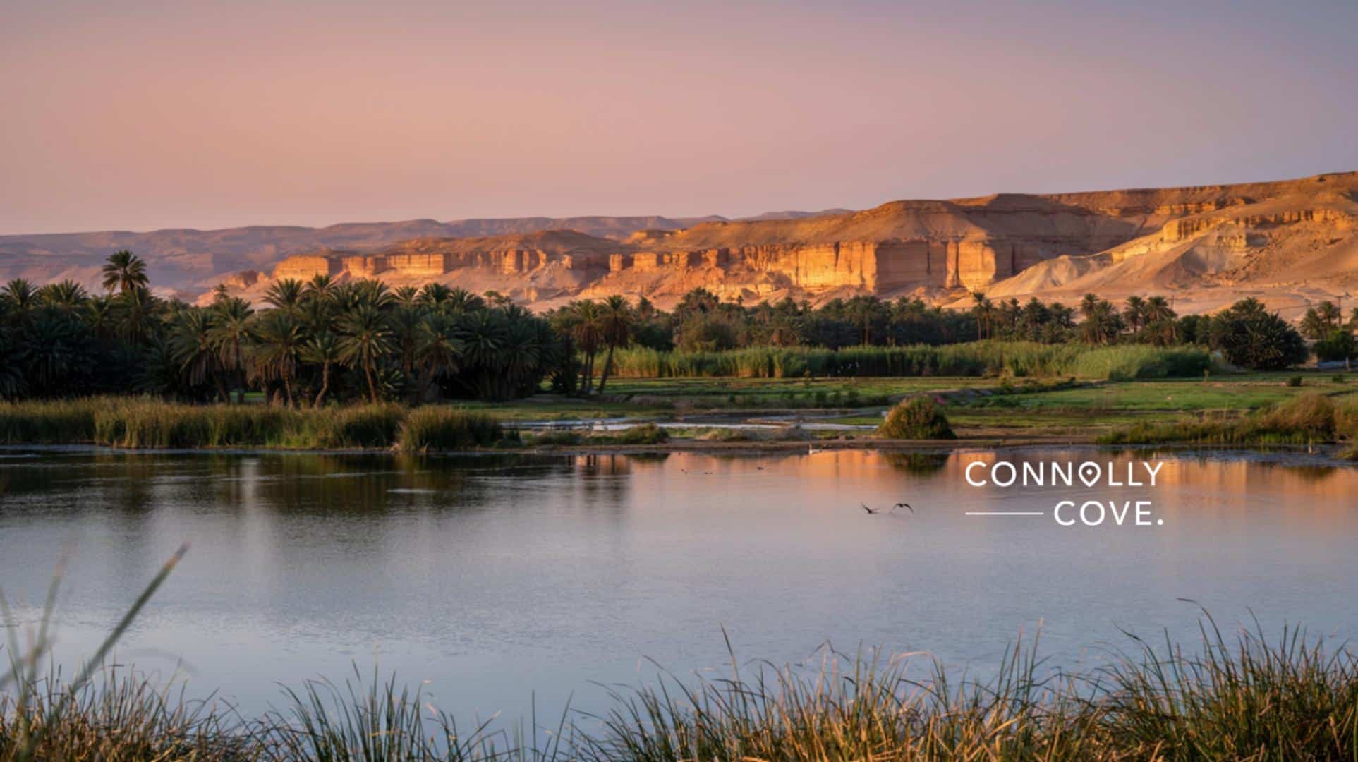 Fayoum, Egypt A Traveller's Guide to the Nile Valley Oasis