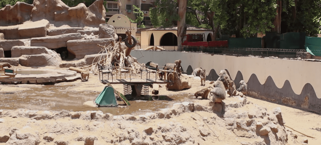 Giza Zoo