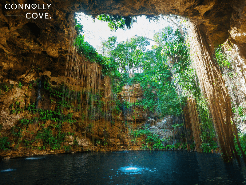 Mexico Travel Statistics | Ik-Kil Cenote With Roots in Mexico