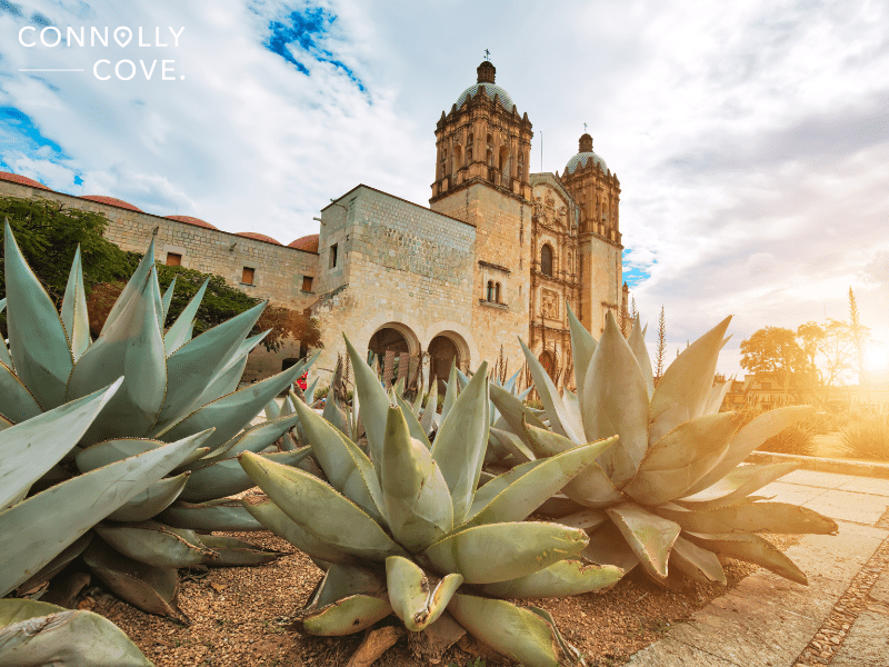Mexico Travel Statistics | Santo Domingo Cathedral in Historic Oaxaca City 