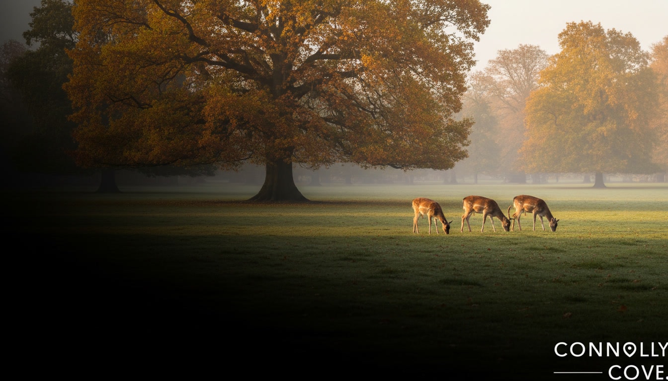 Phoenix Park Dublin: Size, Irish Name and What to See