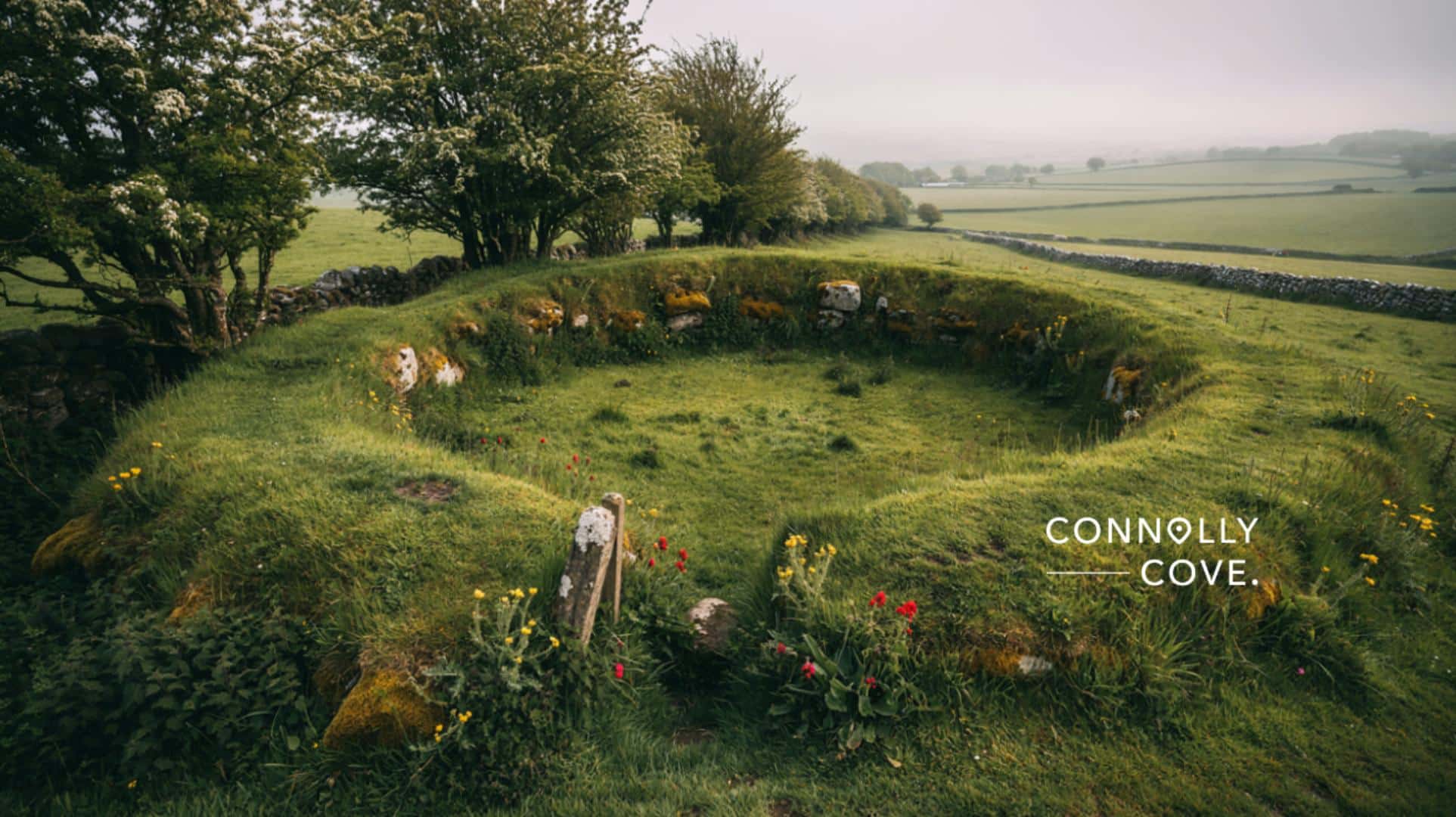 A circular ancient stone structure, said to be a gathering place for the Fairy Folk, is covered in grass and moss and sits in a green field with wildflowers, trees, and distant rolling hills. Text on image reads Connolly Cove.