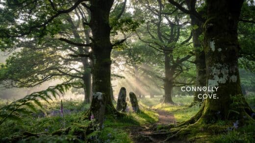 The Lore of Irish Enchanted Forests: Myth, Magic and Woodlands