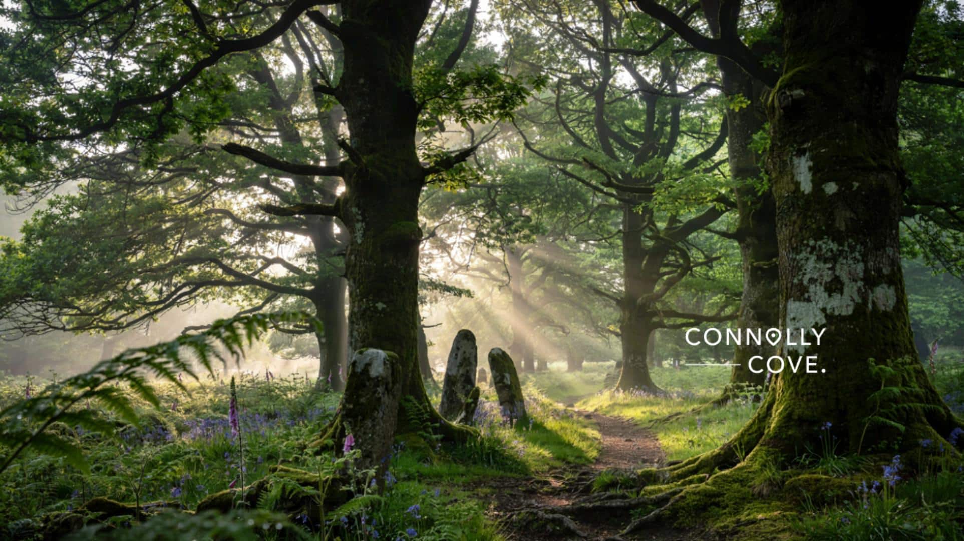 The Lore of Irish Enchanted Forests Myth, Magic and Woodlands