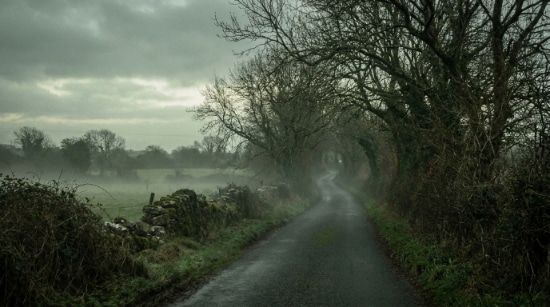 The Walking Dead's Georgia to Ireland's Screen Tourism