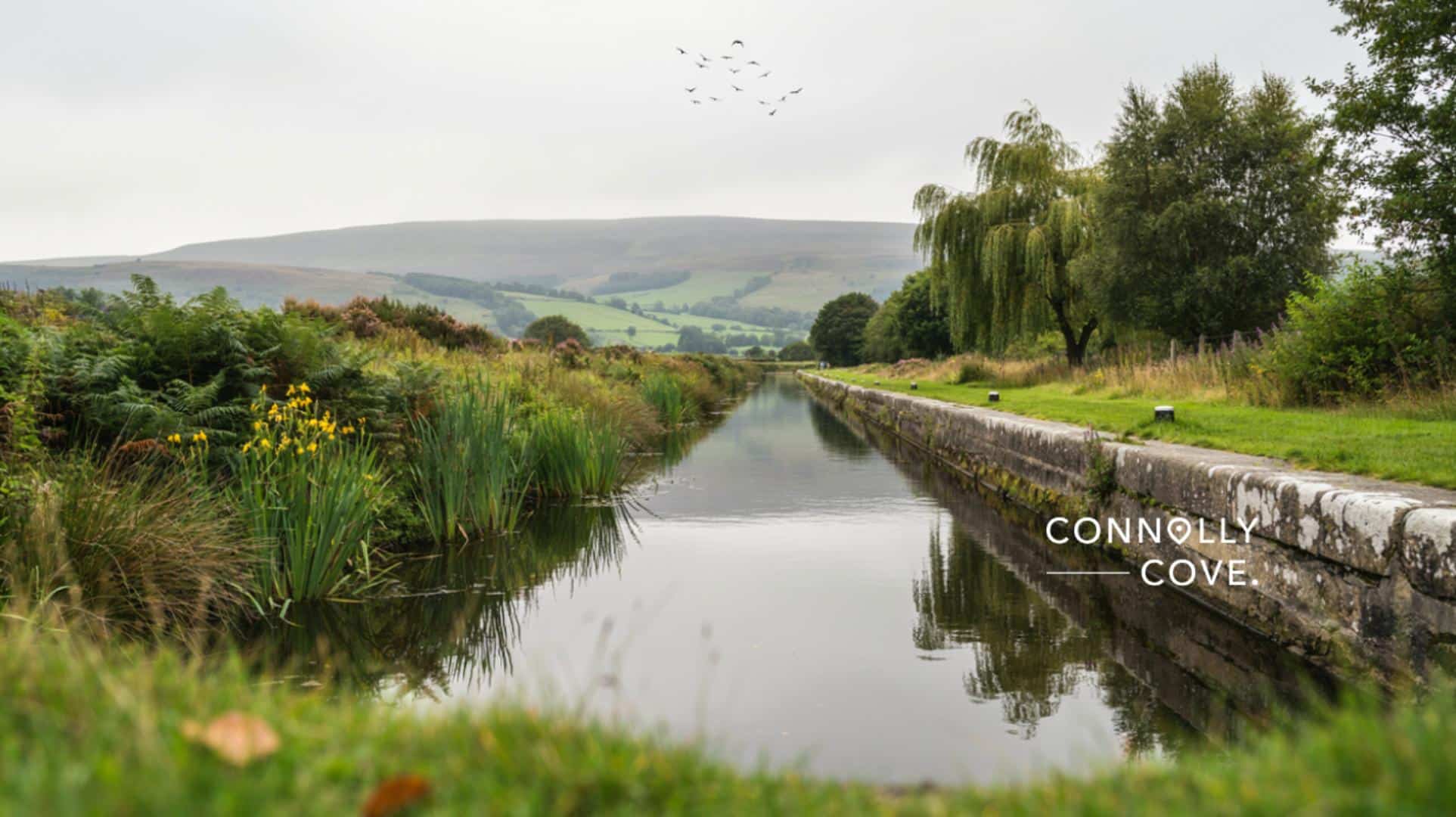 A calm Toome Canal with green vegetation on both sides, distant hills under a cloudy sky, and birds flying above. The words Connolly Cove appear on the right.
