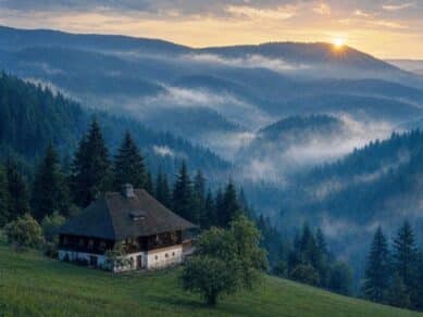 Black Forest, Germany: History, Trees and Travel Guide