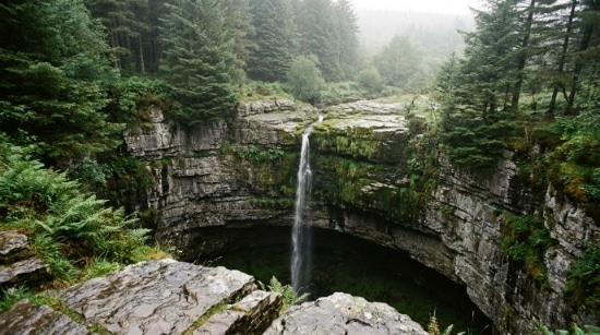 A narrow waterfall cascades into a deep, circular rocky gorge surrounded by the dense, green woodland of Belmore Forest under a misty sky. Moss and ferns grow on the rocks and along the edge of the gorge.