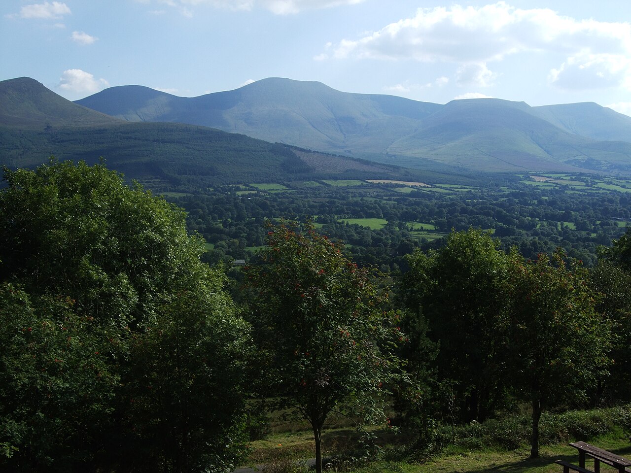 County Tipperary: Behold the Treasures of Ireland's Nature