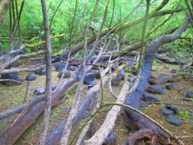 Discovering Ireland: County Cavan Outdoor Adventures