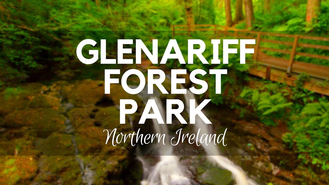 360 Degree Video of Glenariff Forest Park, County Antrim