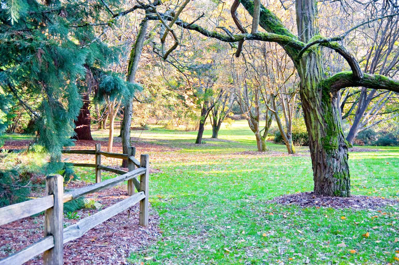 Seattle: 20 Things to Do & See in the Emerald City