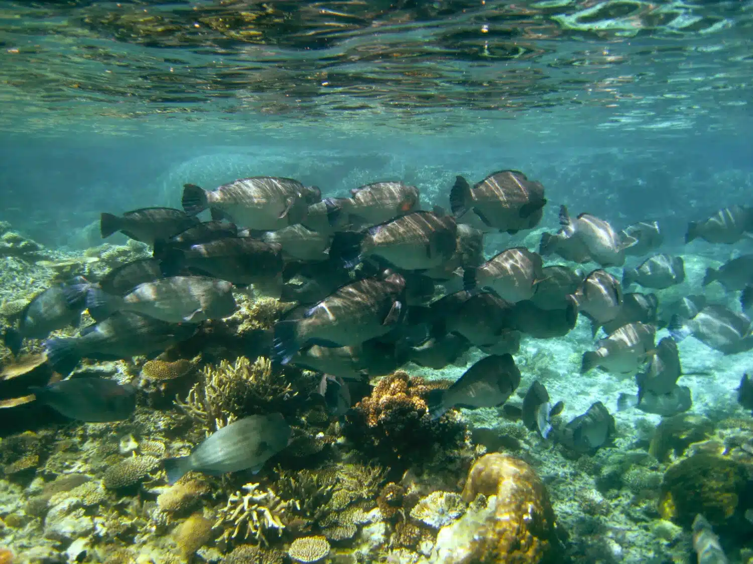 7 Must-Do Natural Adventures in Aswan