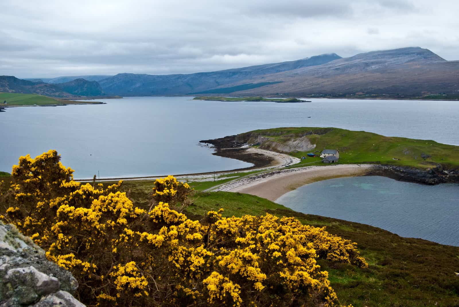 All You Need to Know Before Heading to Scotland, Things to Do, Not to Do, and Brilliant Advice