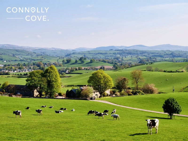 A Trip to England: History, Charm, and Unforgettable Experiences