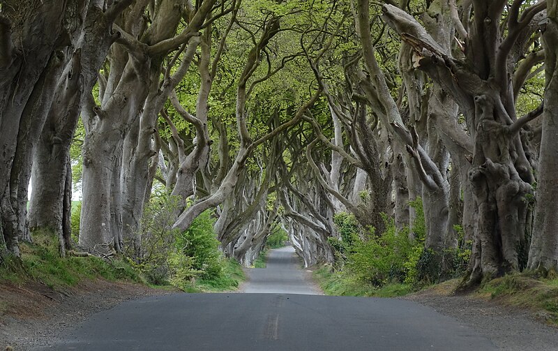 Good Vibrations in Belfast: A Guide to Belfast for Movie Fans
