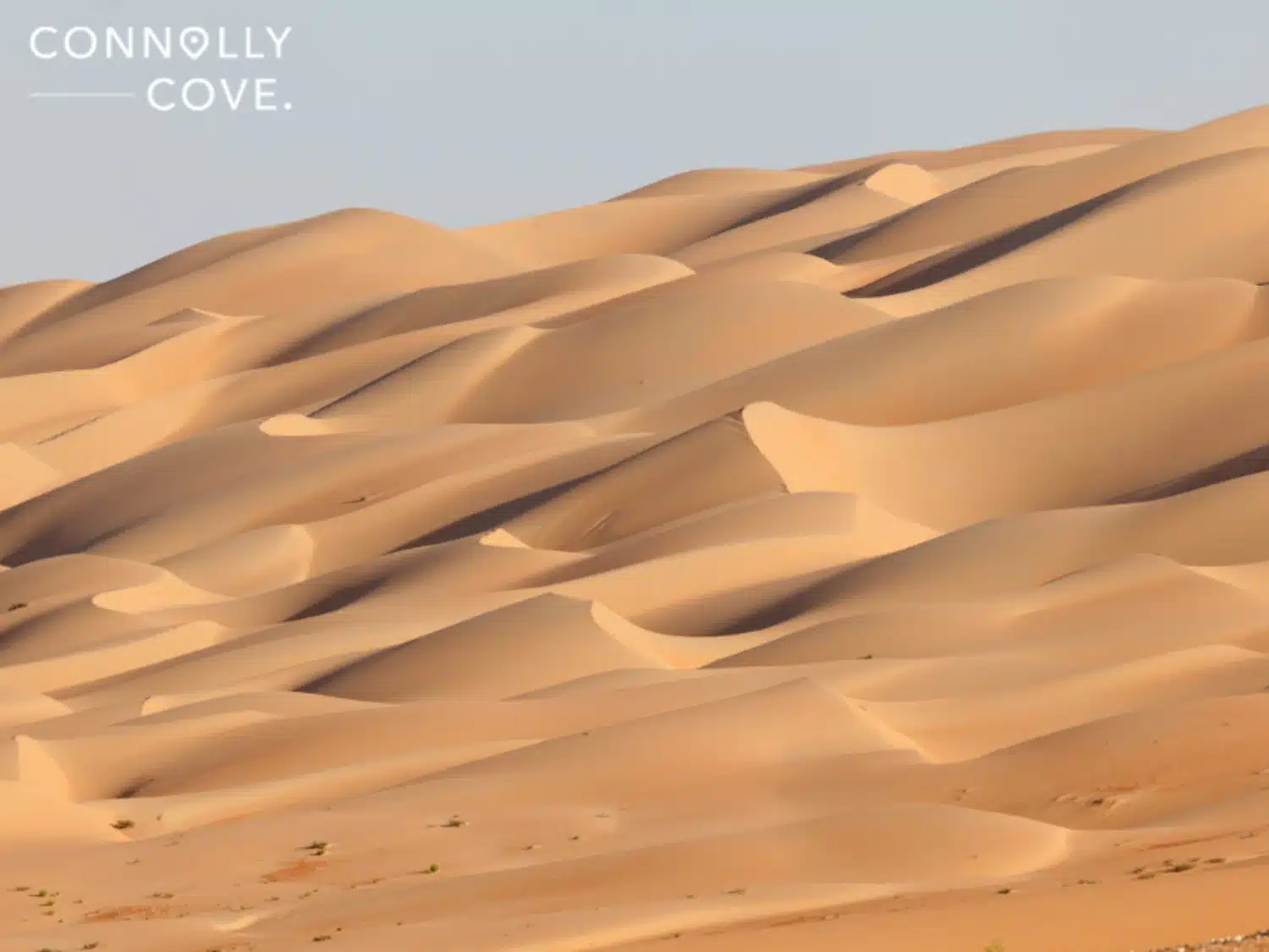 Abu Dhabi, UAE Empty Quarter desert Dune: Part Two