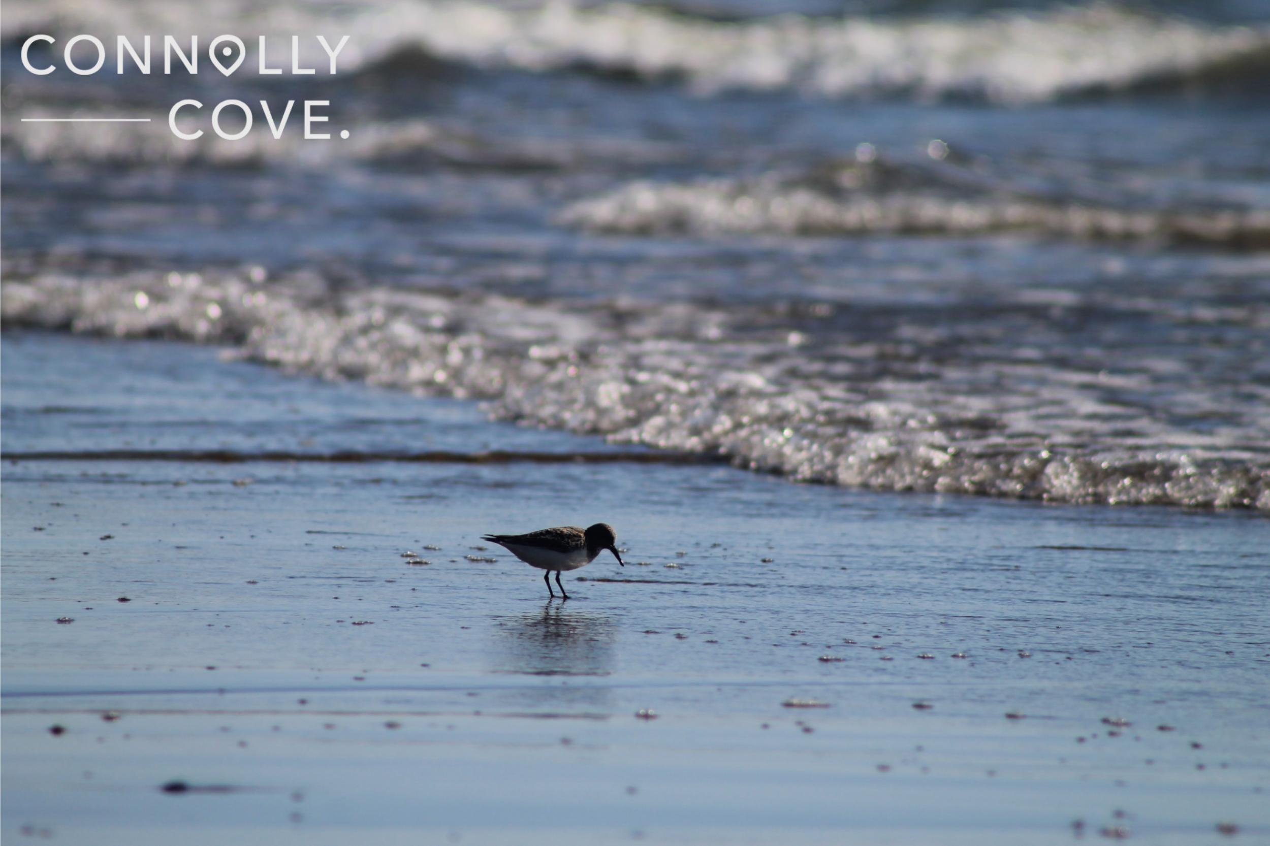 Achill Island - 5 Reasons to Visit Mayo's Hidden Gem