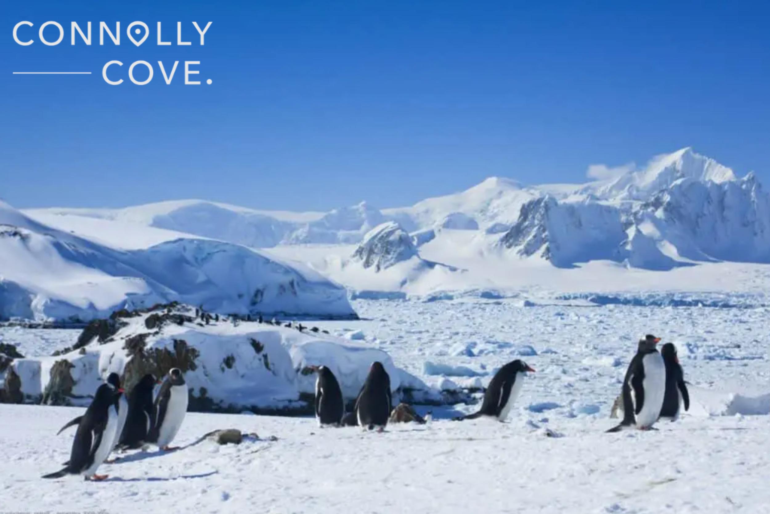 Antarctica 15 min