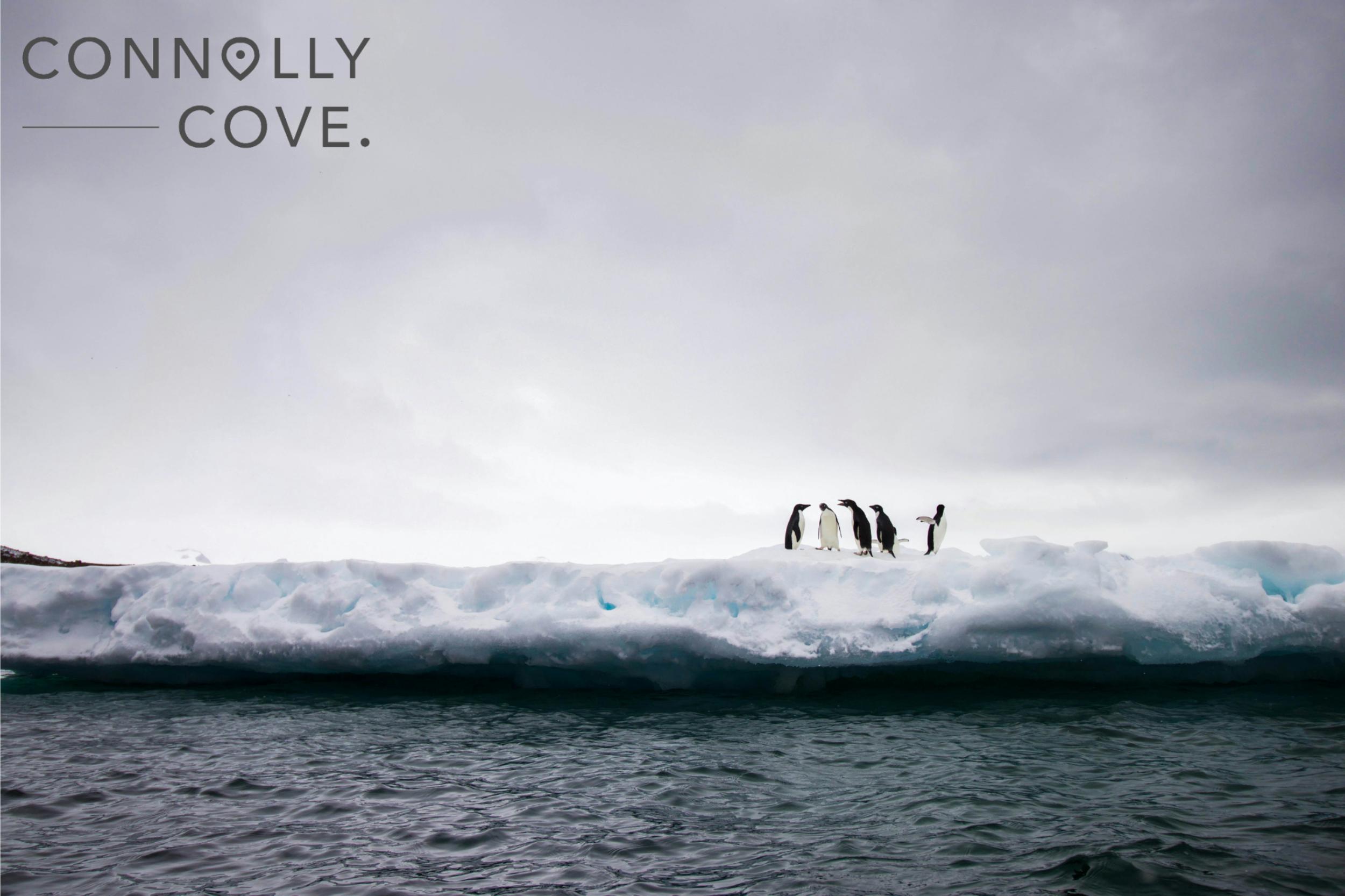 Antarctica 6 min