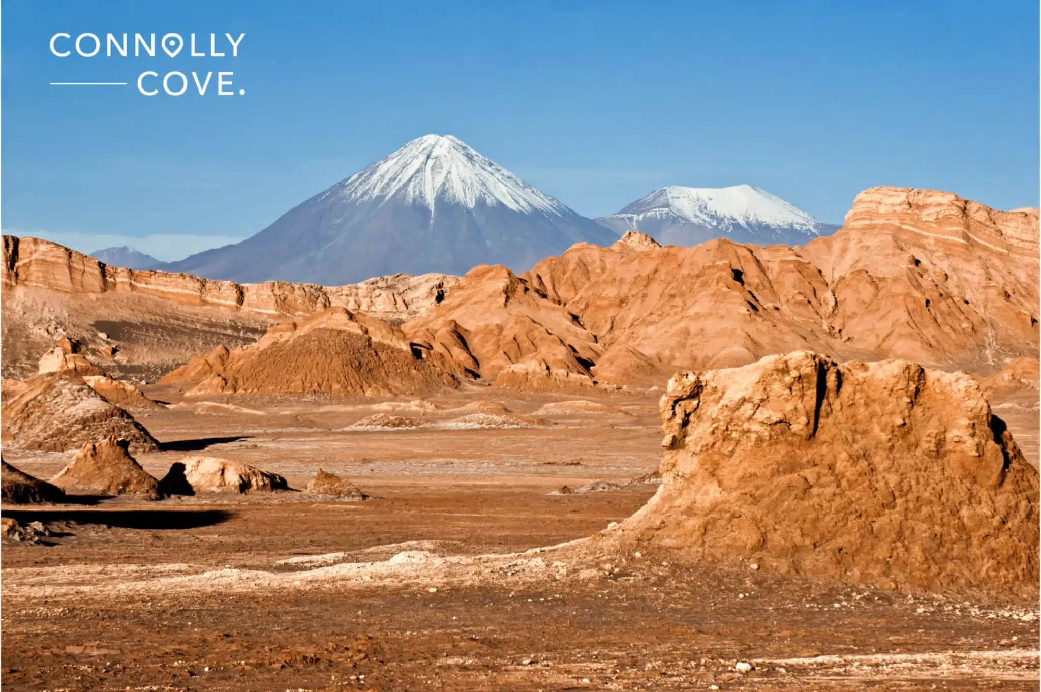 Popular Travel Reality Shows