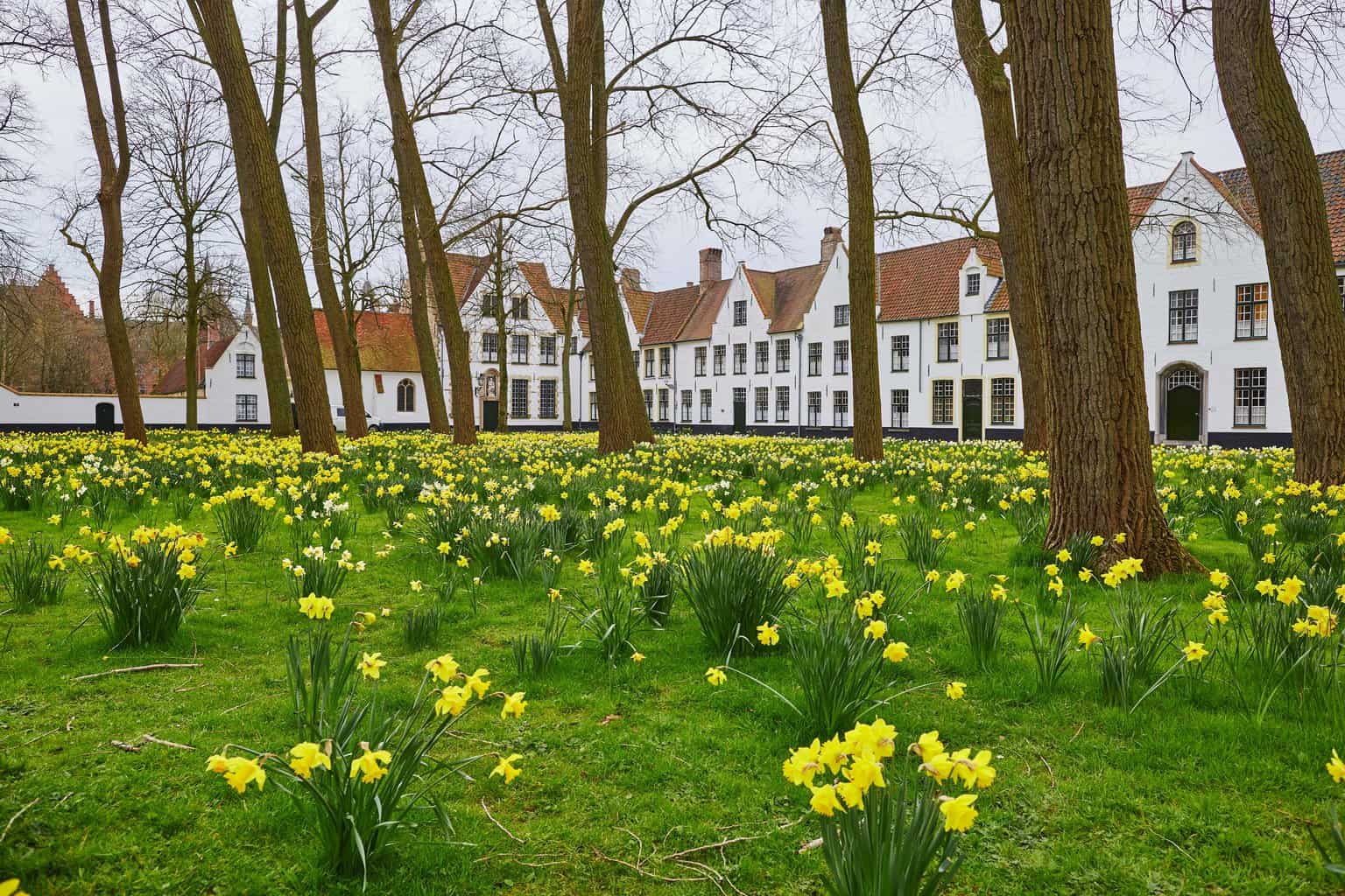 Beguinage