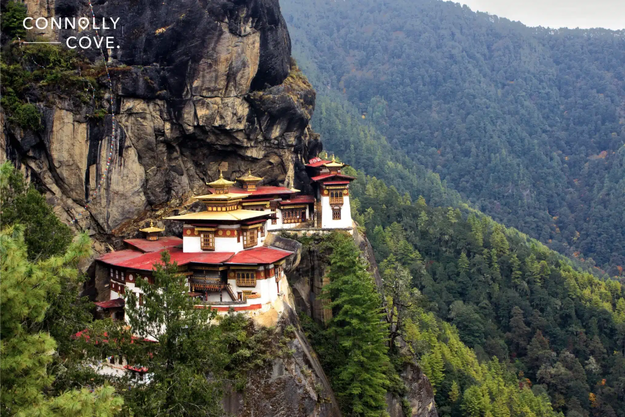 Honeymoon Destination