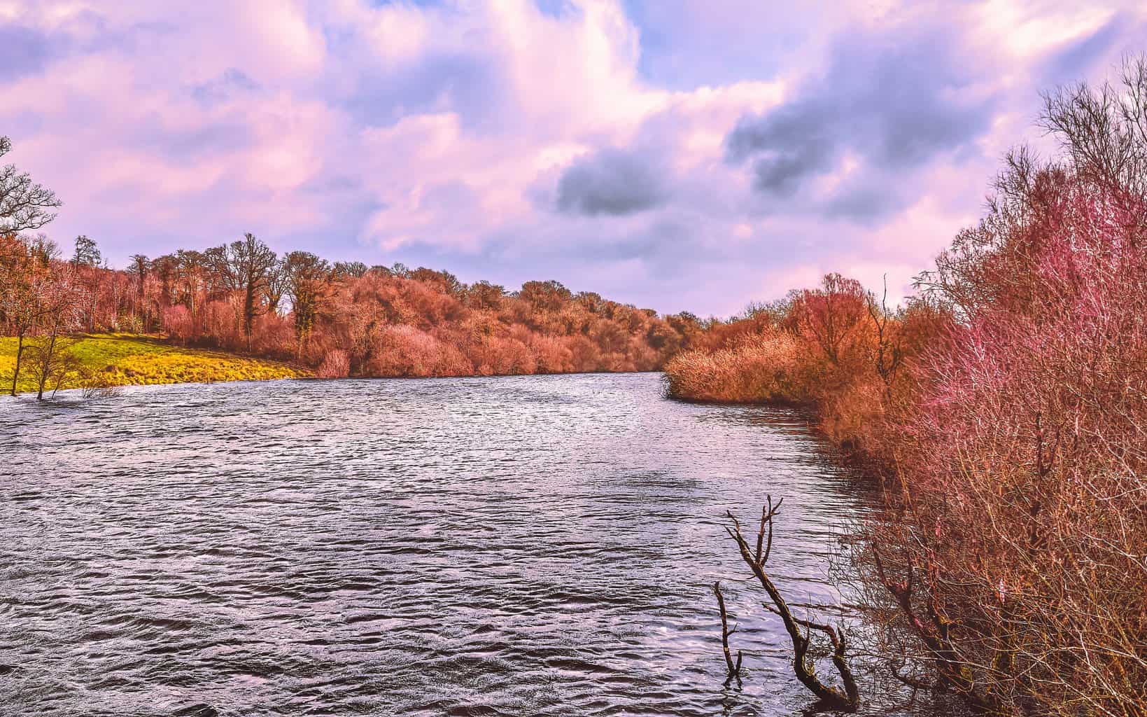 Boatyard Distillery 7