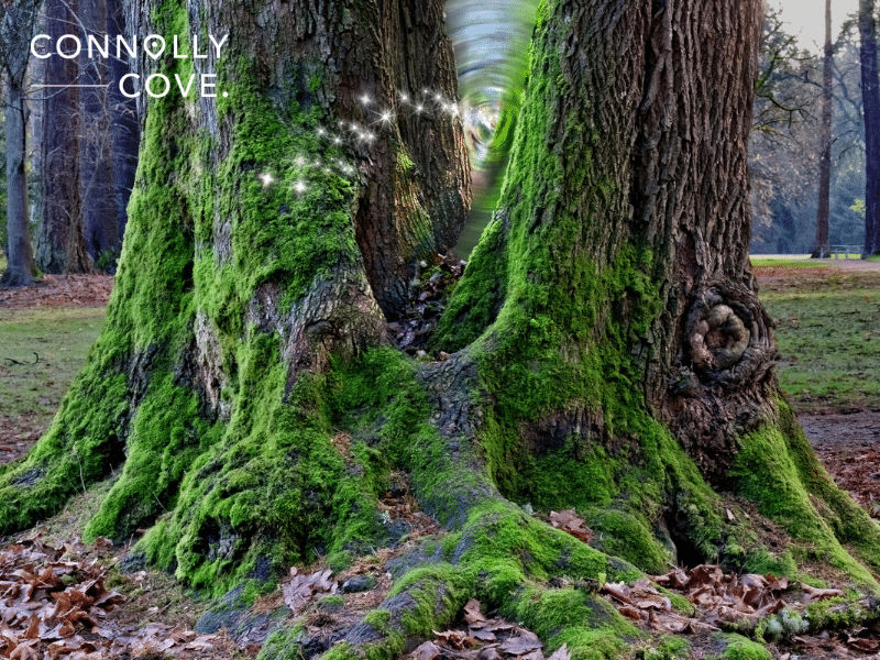 Mythology and Legends of Tree Spirits: Guardians of the Greenwood