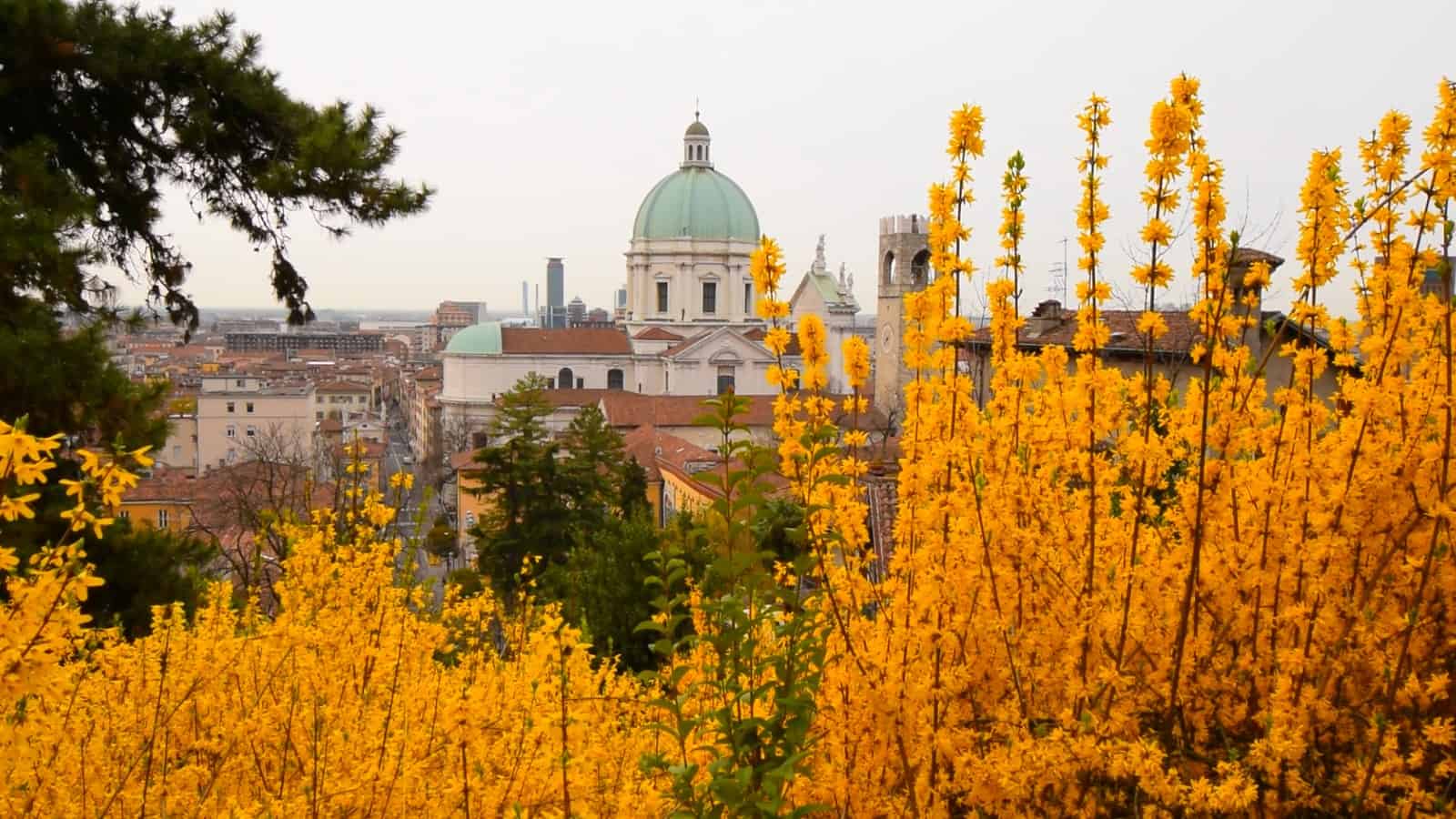 Brescia Cathedral - Duomo Nuovo in Brescia - Lombardy