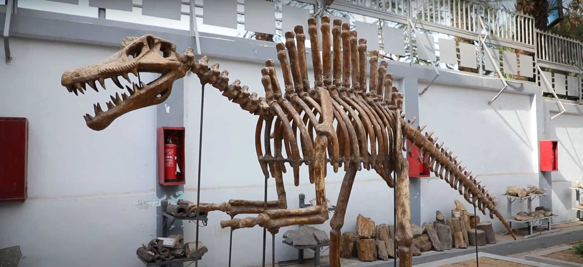 Egyptian Geological Museum - Cairo - Egypt