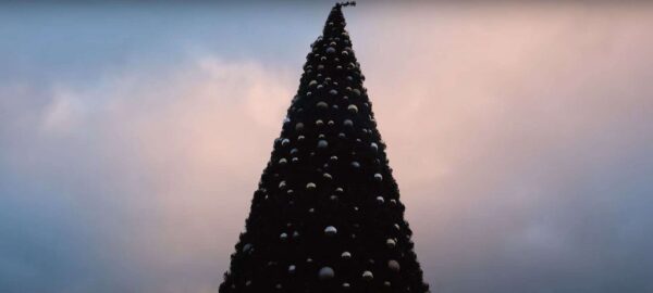 Tinnies at Christmas