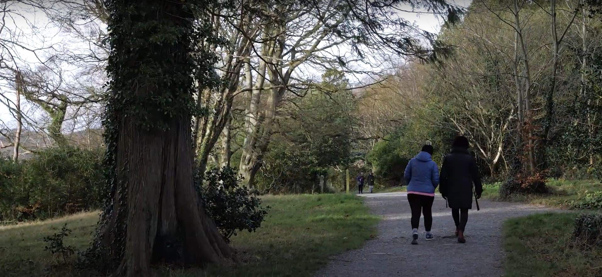 County Down Walk, Northern Ireland
