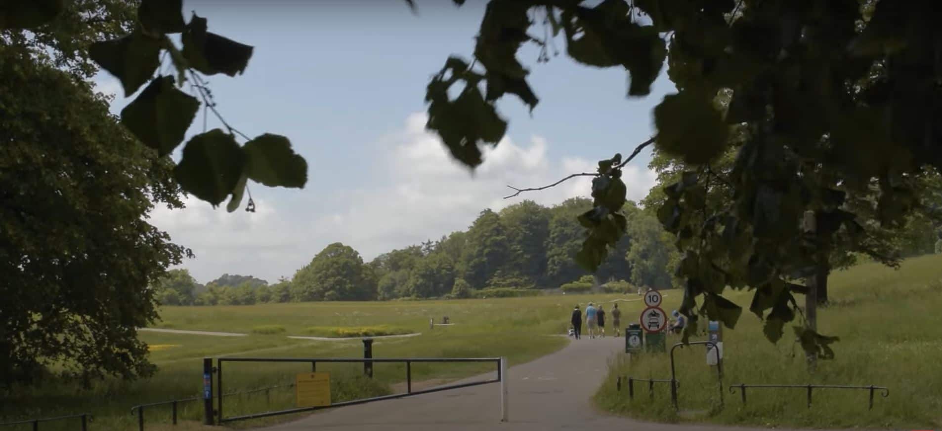 The natural beauty of Ashton Court Estate Bristol, England