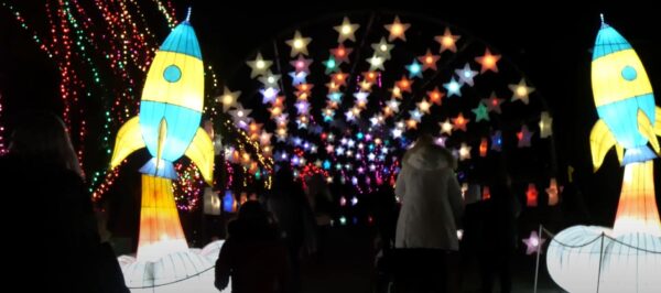 Dublin Zoo Wild Lights: Night Experience & Visitor Guide