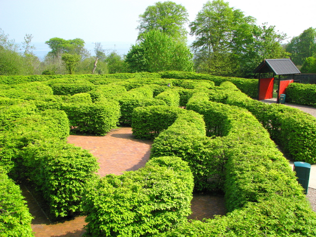 Carnfunnook Country Park Maze