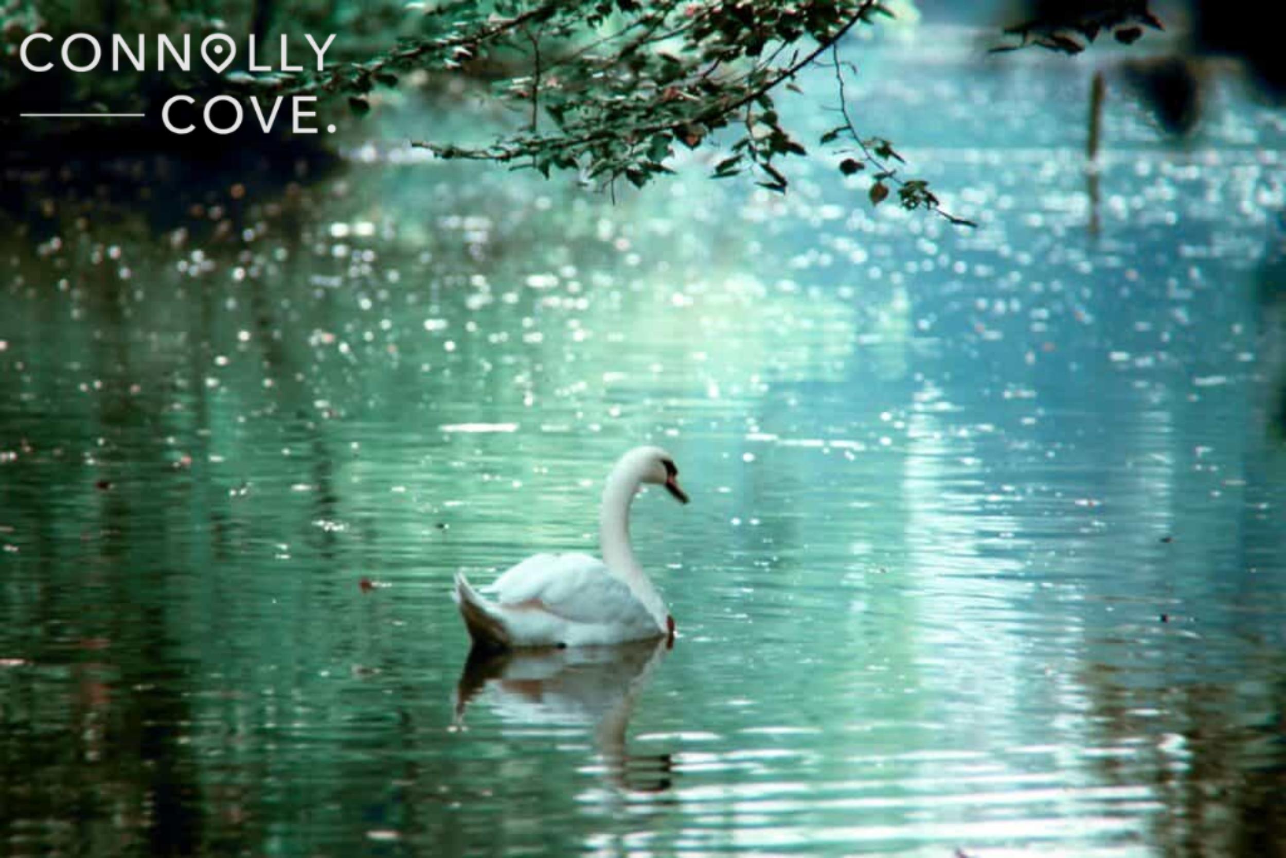 The Children of Lir: A Fascinating Irish Legend
