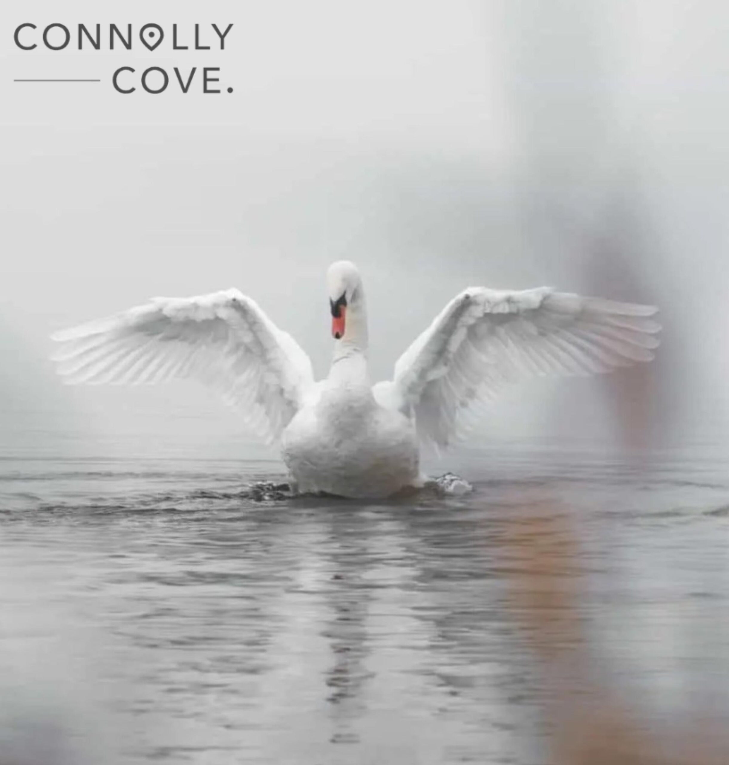 The Children of Lir: A Fascinating Irish Legend