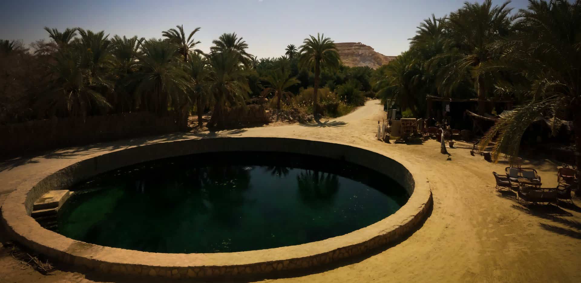 Discover the Unrivaled Beauty of Siwa Oasis - The Pearl of the Western Desert: 11 Things to See and Do