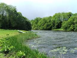 A river flows gently beside a grassy bank in County Cavan, bordered by lush green trees under a cloudy sky. A small green boat rests on the grass near the water’s edge.