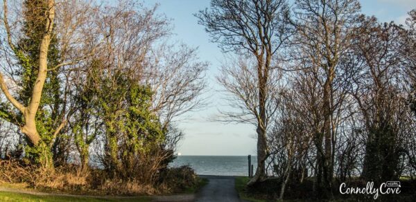 Crawfordsburn, County Down, Northern Ireland