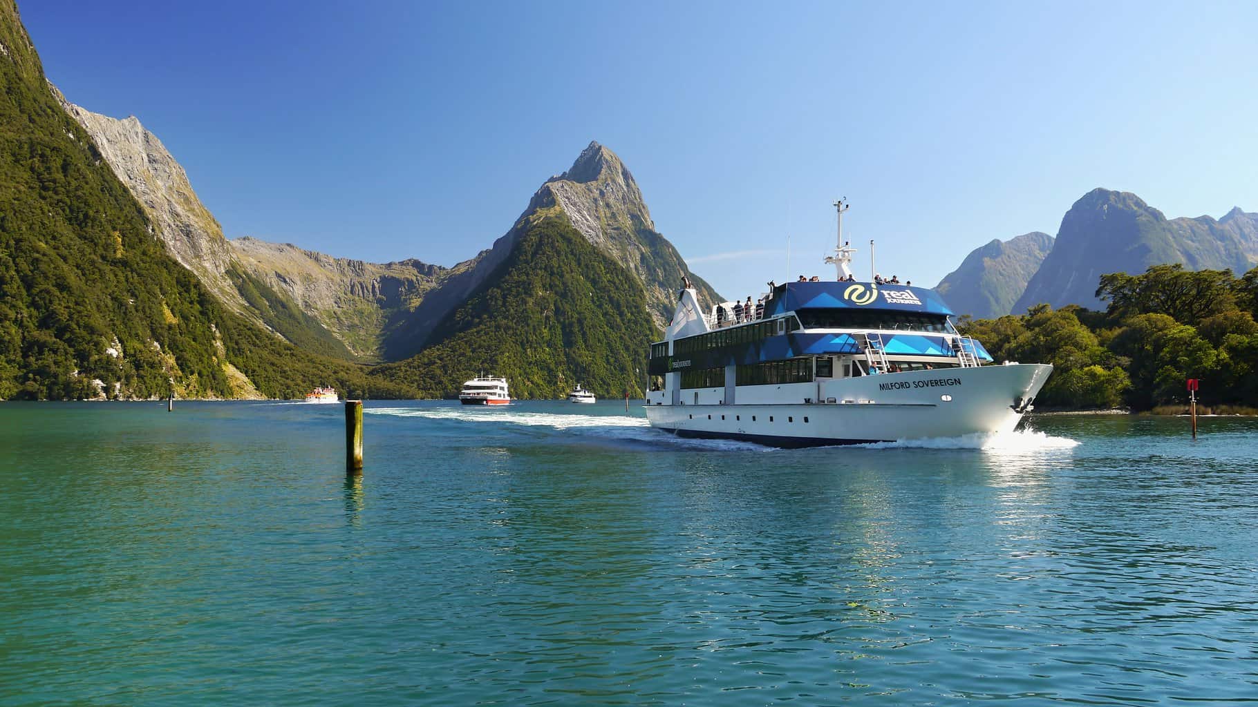 New Zealand Travel Statistics