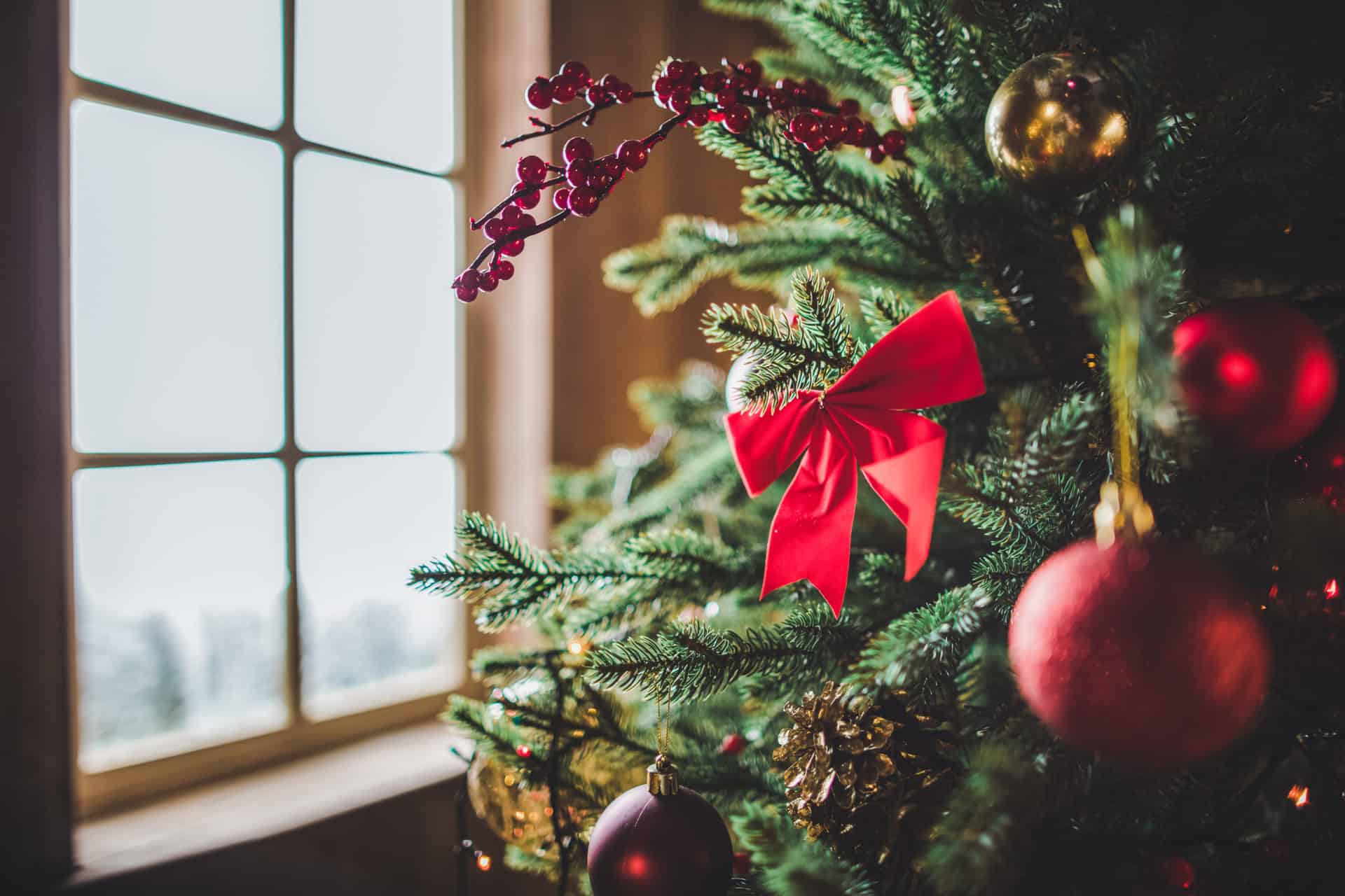 Where to Go This Holiday Season: Top 10 Holiday Havens to Consider!