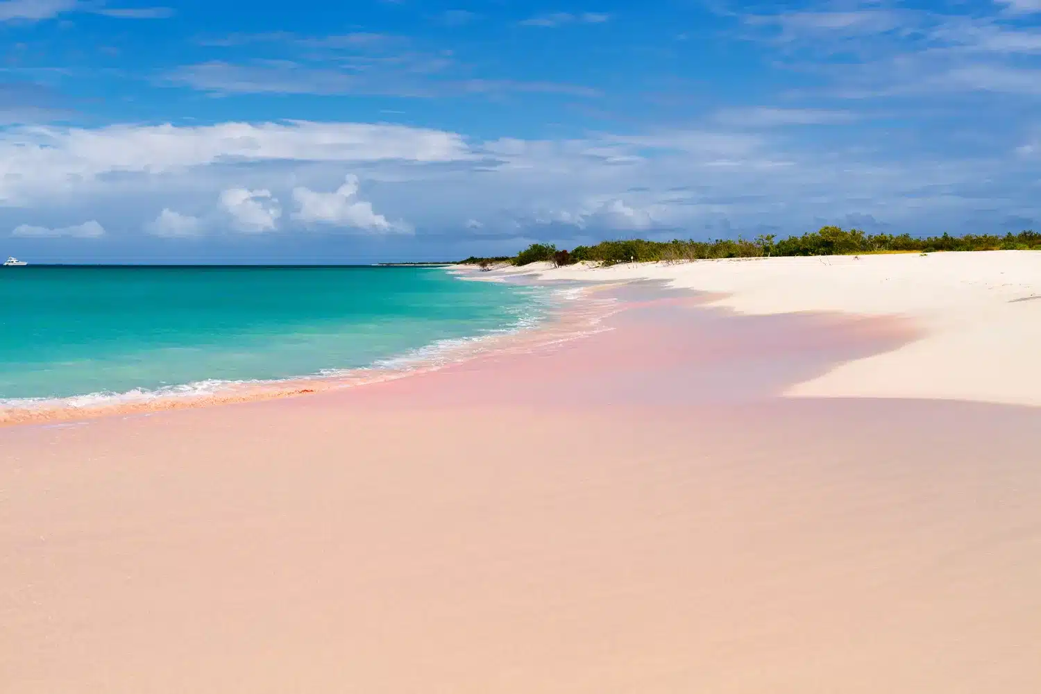 Unravel the Caribbean's 50 Shades of Pink!