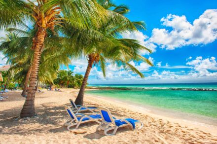 Barbados: 25 Exciting Spots to Live the Authentic Caribbean Life