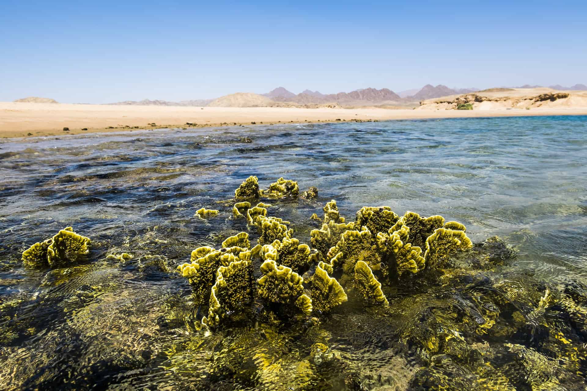 Top Adventures to Have in Egypt